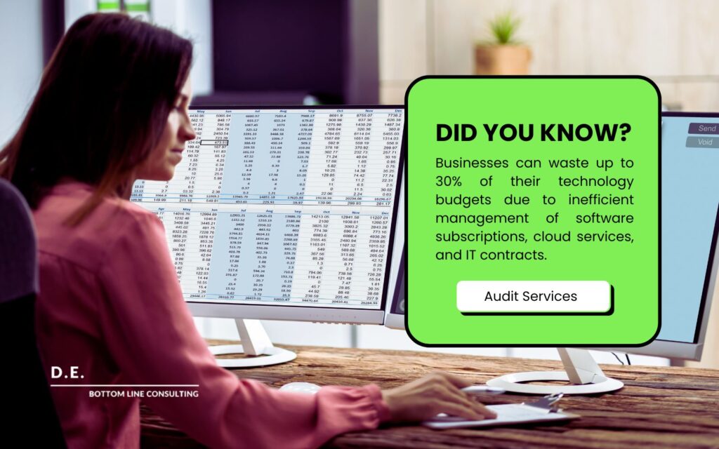 Audit Services advertisement featuring a woman looking at a computer screen with financial data. A text box states some businesses waste up to 30% of technology budgets.